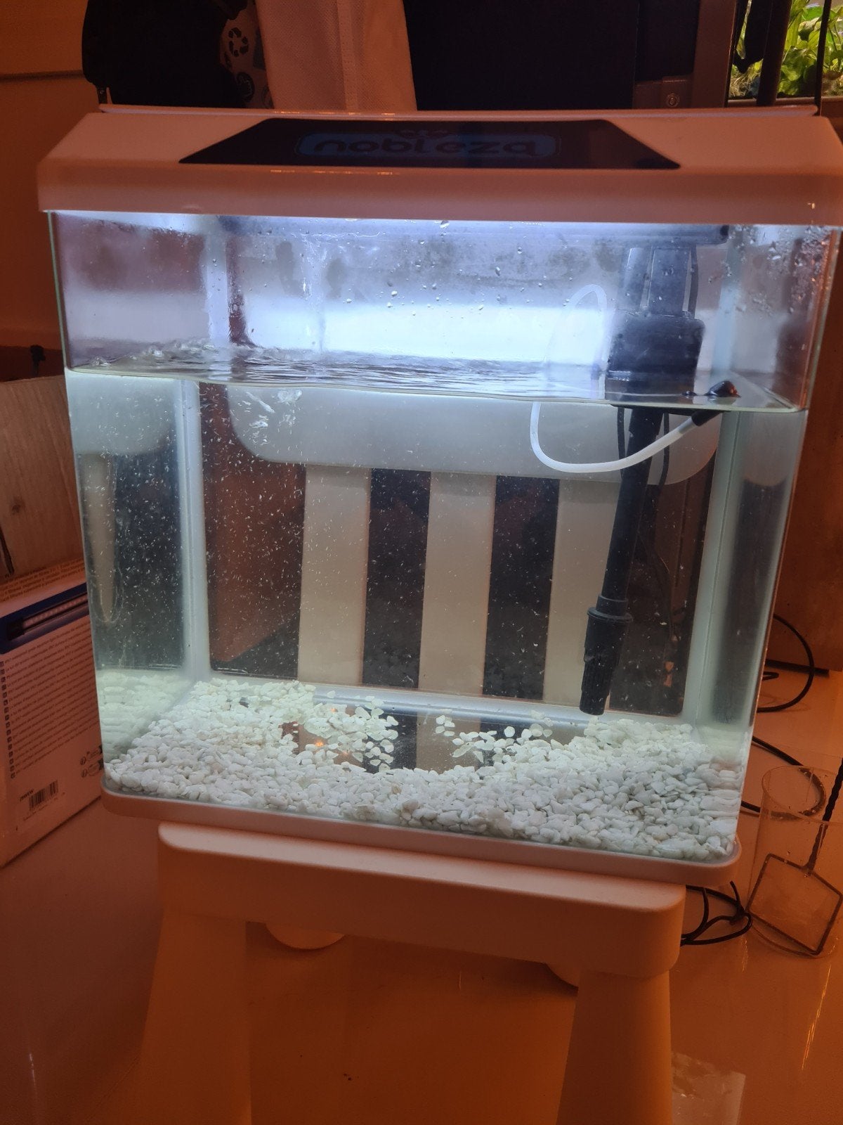 aquarium Inclusief alles, Ophalen of Verzenden