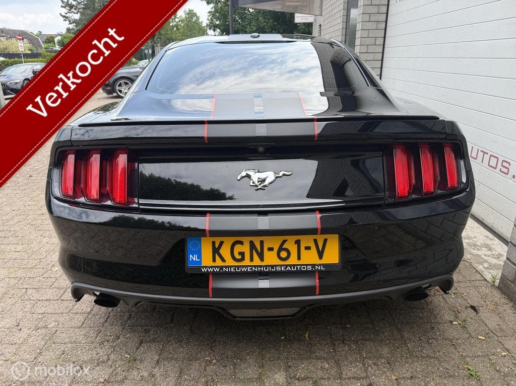 Ford Mustang Fastback 2.3 EcoBoost Shelby GT500 uitgevoerd!, Auto's, Ford, Bedrijf, Te koop, Mustang, ABS, Achteruitrijcamera