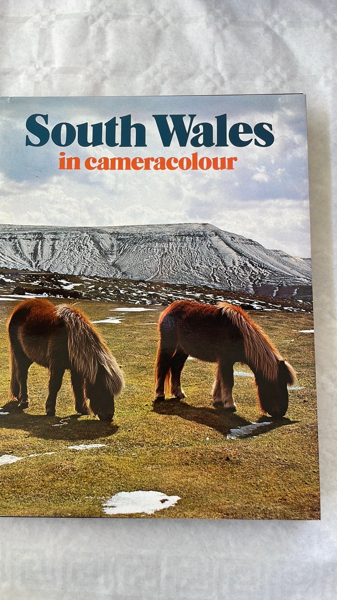 Boek: South Wales” in Cameracolour, Europa, Ophalen of Verzenden, Reisgids of -boek, Gelezen