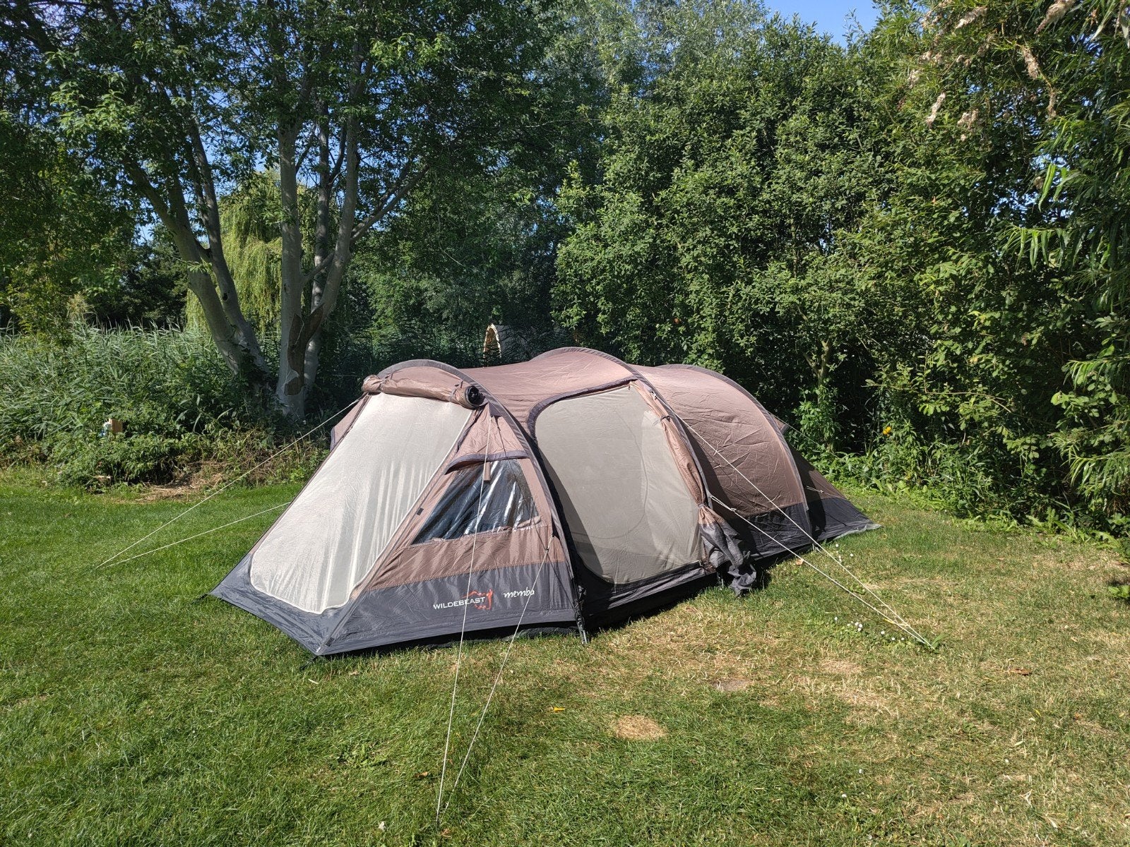 Wildebeast Memba 2-4 persoons koepeltent - goede staat, Caravans en Kamperen, Tenten, Ophalen, Gebruikt