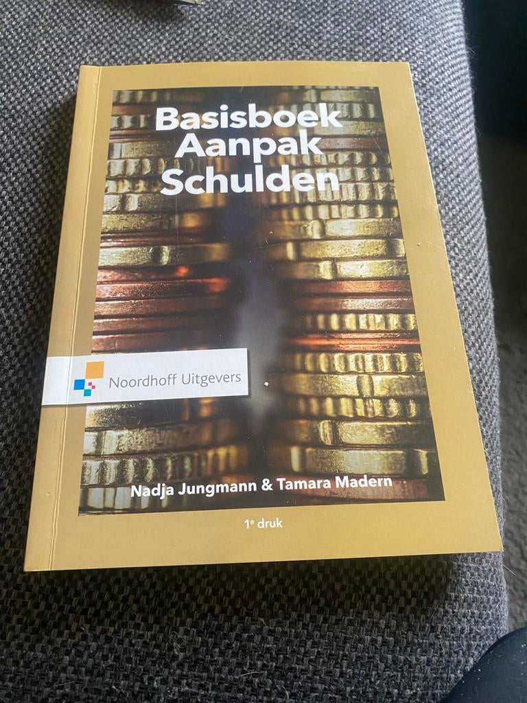 Nadja Jungmann - Basisboek aanpak schulden, Sociale wetenschap, Ophalen of Verzenden, Zo goed als nieuw, Nadja Jungmann; Tamara Madern