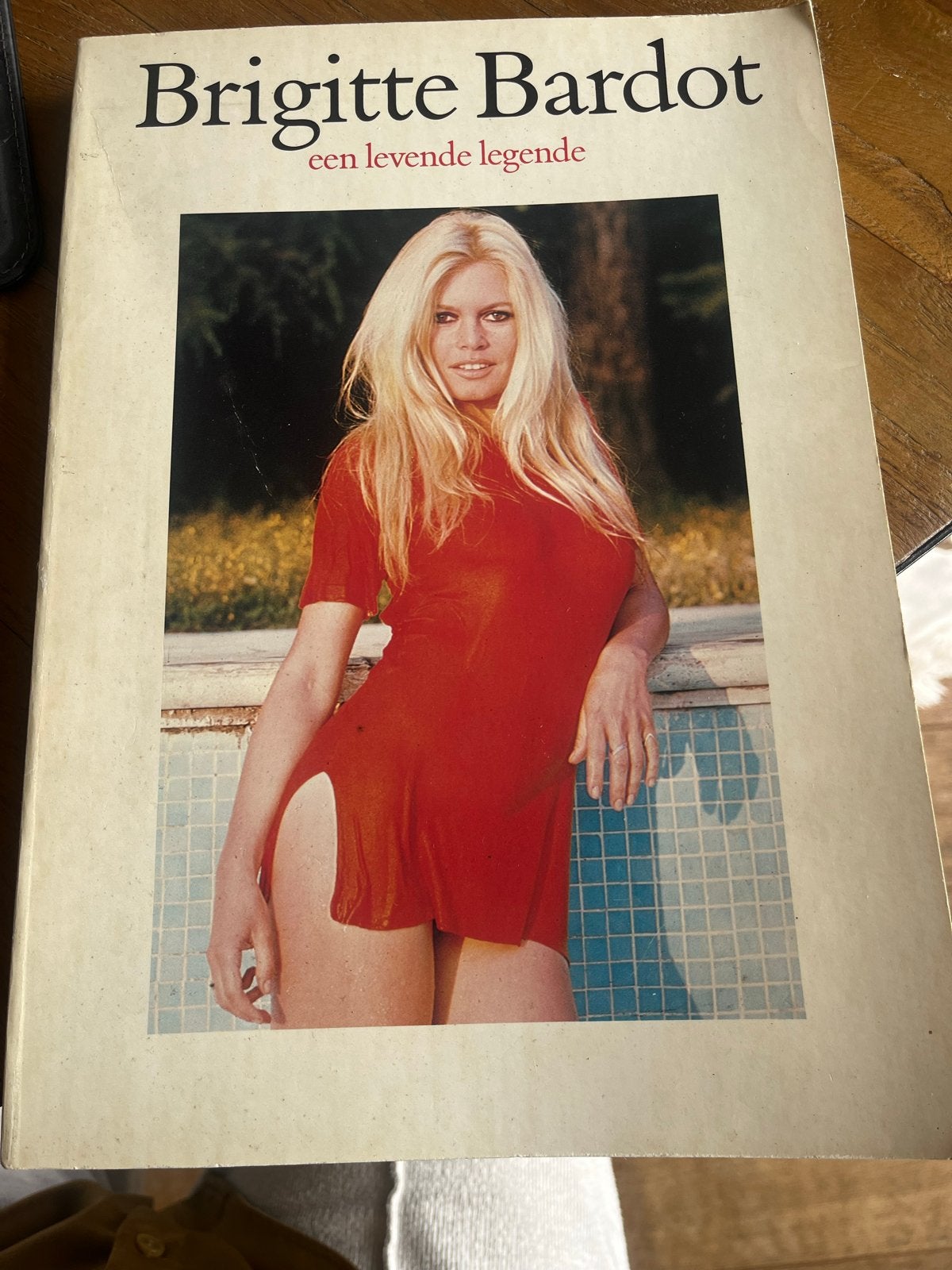 Brigitte Bardot: Een Levende Legende - Boek, Boeken, Ophalen of Verzenden, Gelezen, Europa overig