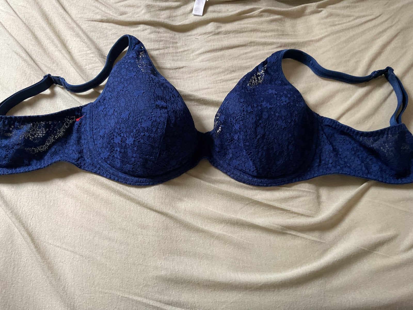 Prima Donna BH blauw kant maat 80D, Ophalen of Verzenden, Blauw, BH