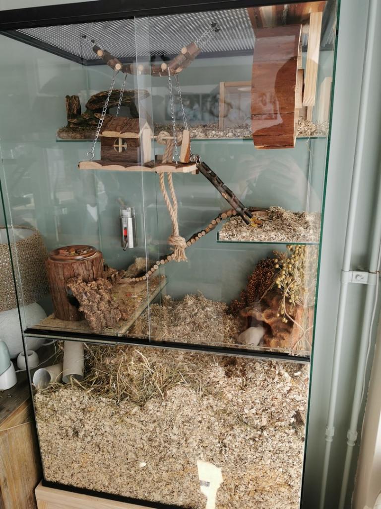 Glazen speelparadijs voor gerbils 60x40x100, 60 tot 90 cm, Nieuw, Ophalen of Verzenden, Hok