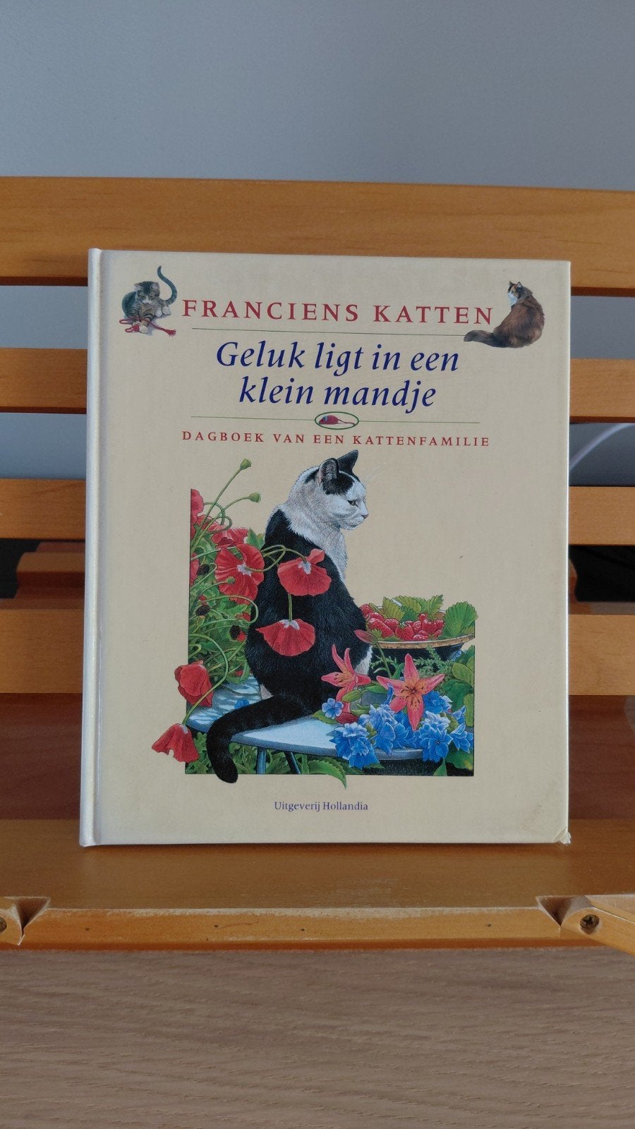 Francien's Katten: Geluk ligt in een klein mandje, Boeken, Ophalen of Verzenden, Gelezen