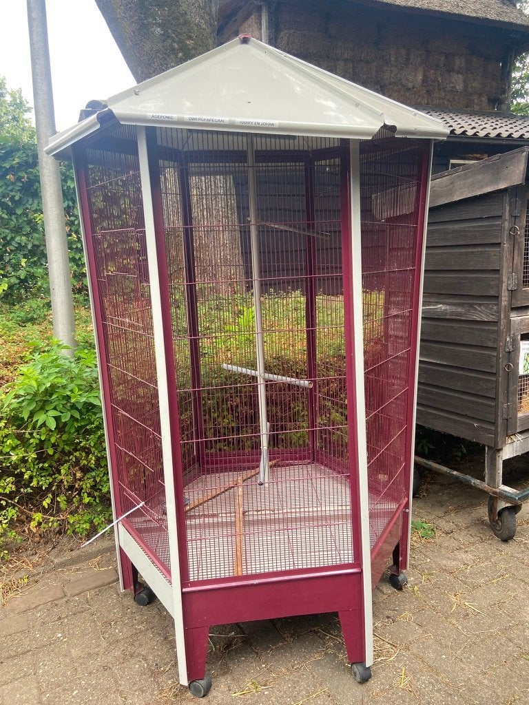 Grote vogelkooi of volière, Dieren en Toebehoren, Meerdere dieren, Parkiet