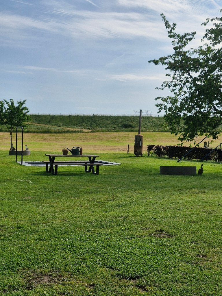 Campspace Niet perfect, maar wel gezellig, Internet, Landelijk