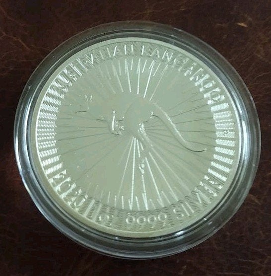 1 oz Zilver Perth Mint Kangaroo van 2020 uit Australië, Ophalen of Verzenden, Zilver
