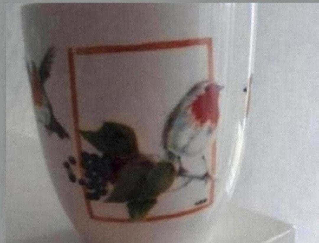 Beker Jet met Roodborstjes, Ophalen of Verzenden, Zo goed als nieuw, Overige stijlen, Kop(pen) en/of Schotel(s)