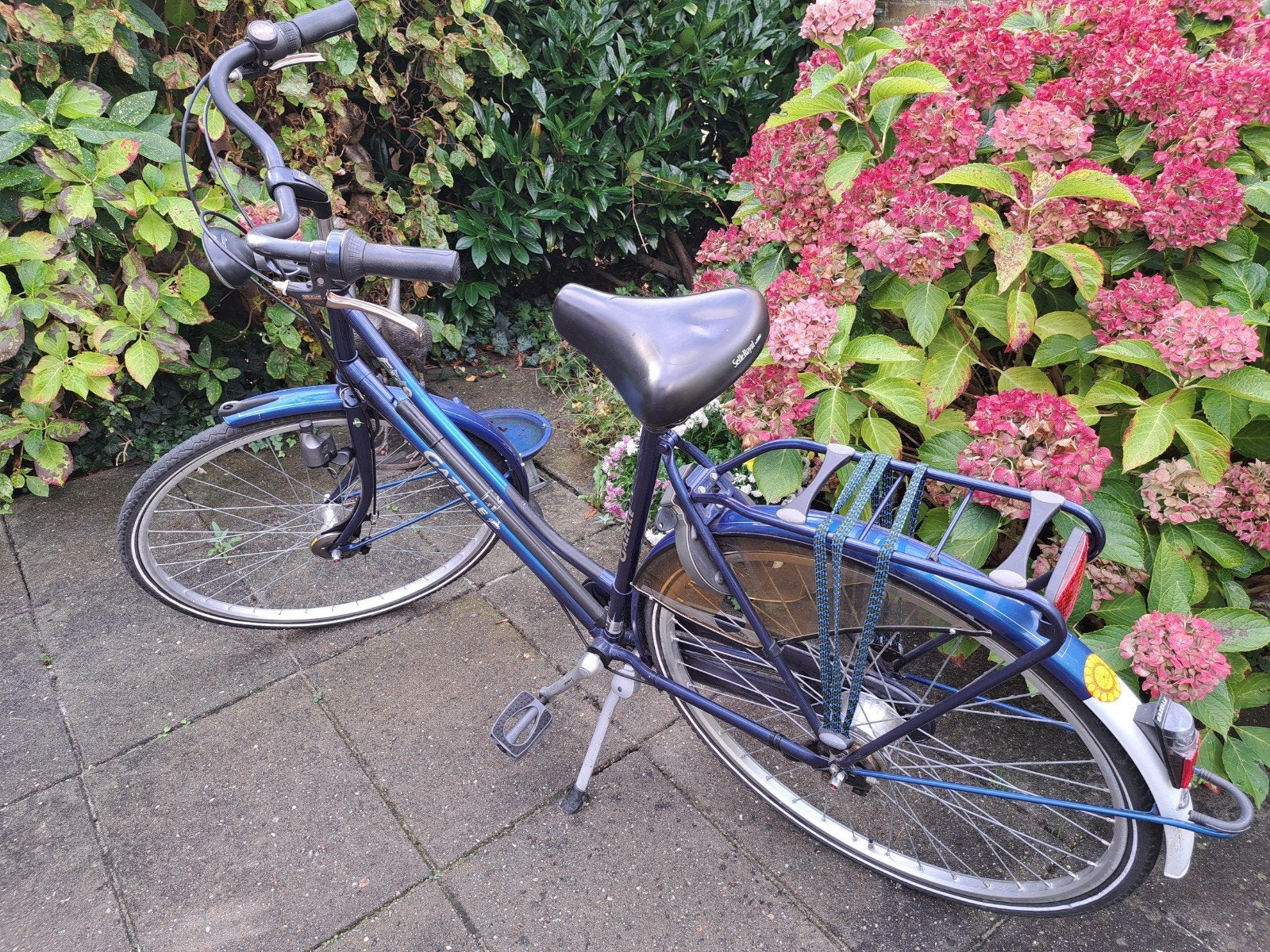 Gazelle Free |  Damesfiets | Blauw, 47 tot 50 cm, Ophalen, Gebruikt, Gazelle