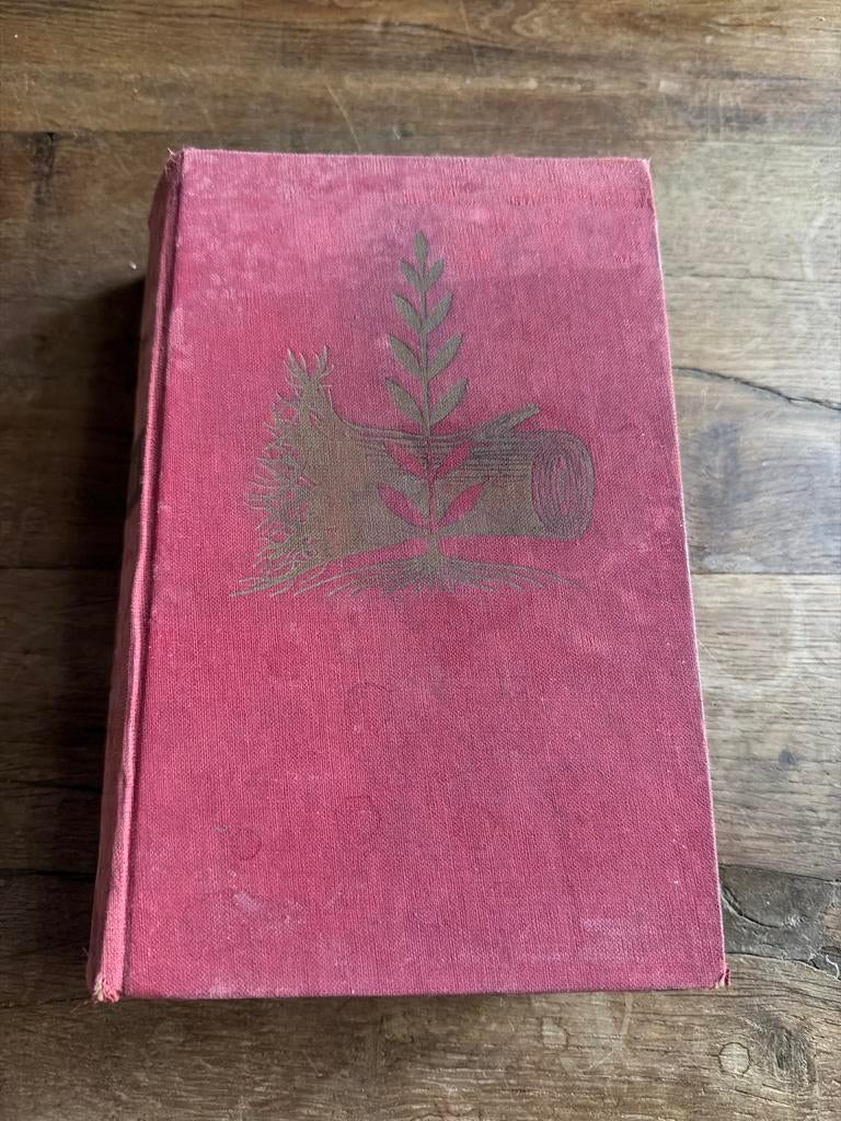 Exodus - Leon Uris (Tweede Druk), Boeken, Ophalen of Verzenden, Gelezen, Nederland