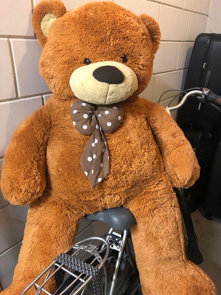 XXL Teddybeer 120 cm - Ongebruikt, Ophalen, Beer, Nieuw, Met kleding of accessoire