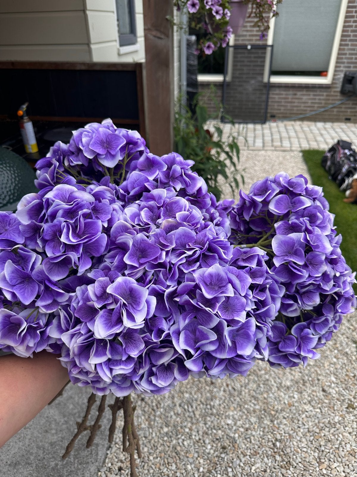 Silk-ka Zijdebloemen - Prachtige Paarse Hortensia's, Ophalen of Verzenden, Onderhoudsvrij, Paars, Binnen
