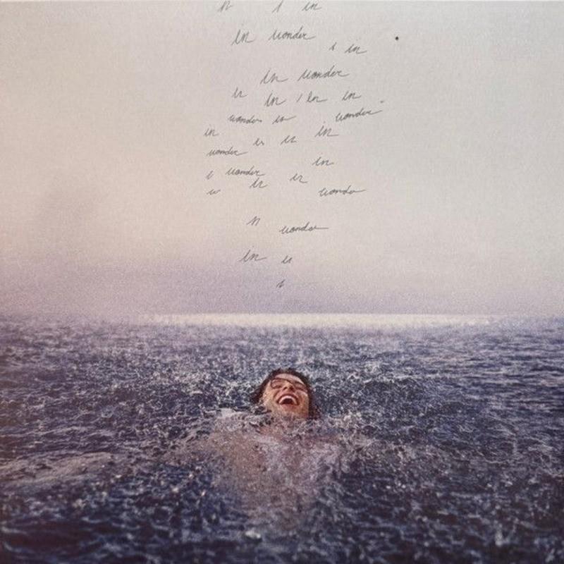 Shawn Mendes – Wonder | LP, Cd's en Dvd's, Vinyl | Pop, Fotohoes, Ophalen of Verzenden, Nieuw in verpakking, 12 inch