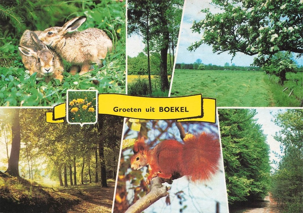 Groeten uit Boekel, Ophalen of Verzenden, 1980 tot heden, Ongelopen, Noord-Brabant