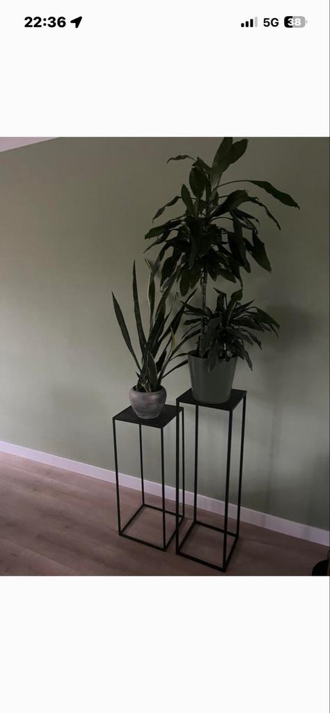 Set van 2 zwarte stalen plantenstandaards, Huis en Inrichting, Woonaccessoires | Overige, Ophalen of Verzenden, Metaal, Industrieel