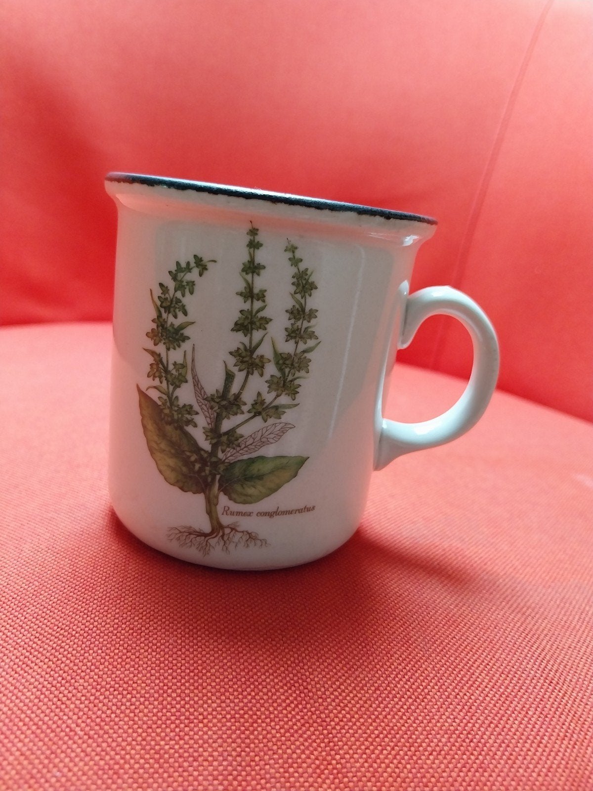 Vintage Weidmann Porzellan Mokkakopje met plantenprint, Ophalen of Verzenden