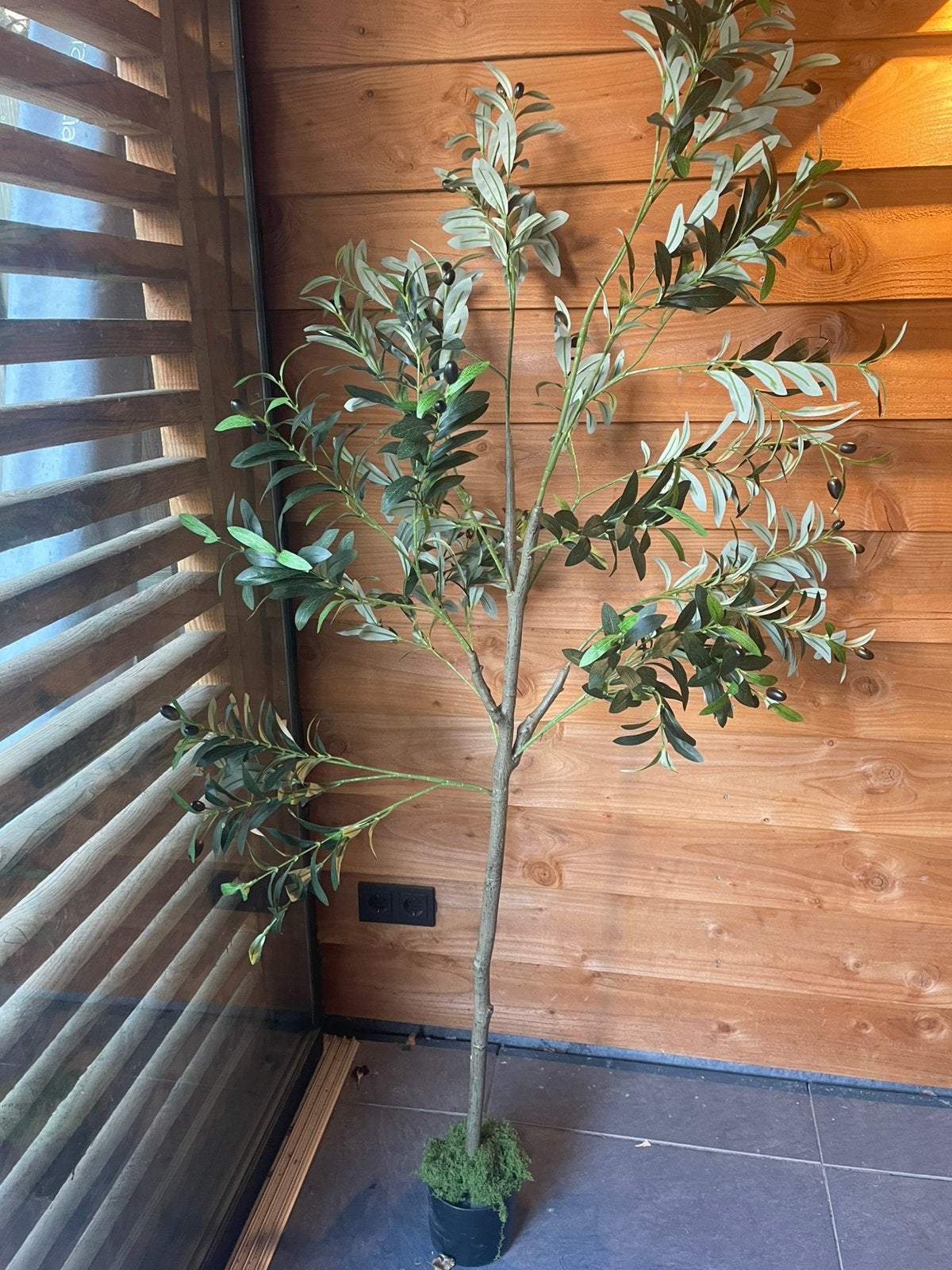 Grote kunst olijfboom, Ophalen, Binnen, Groen, Kunstplant
