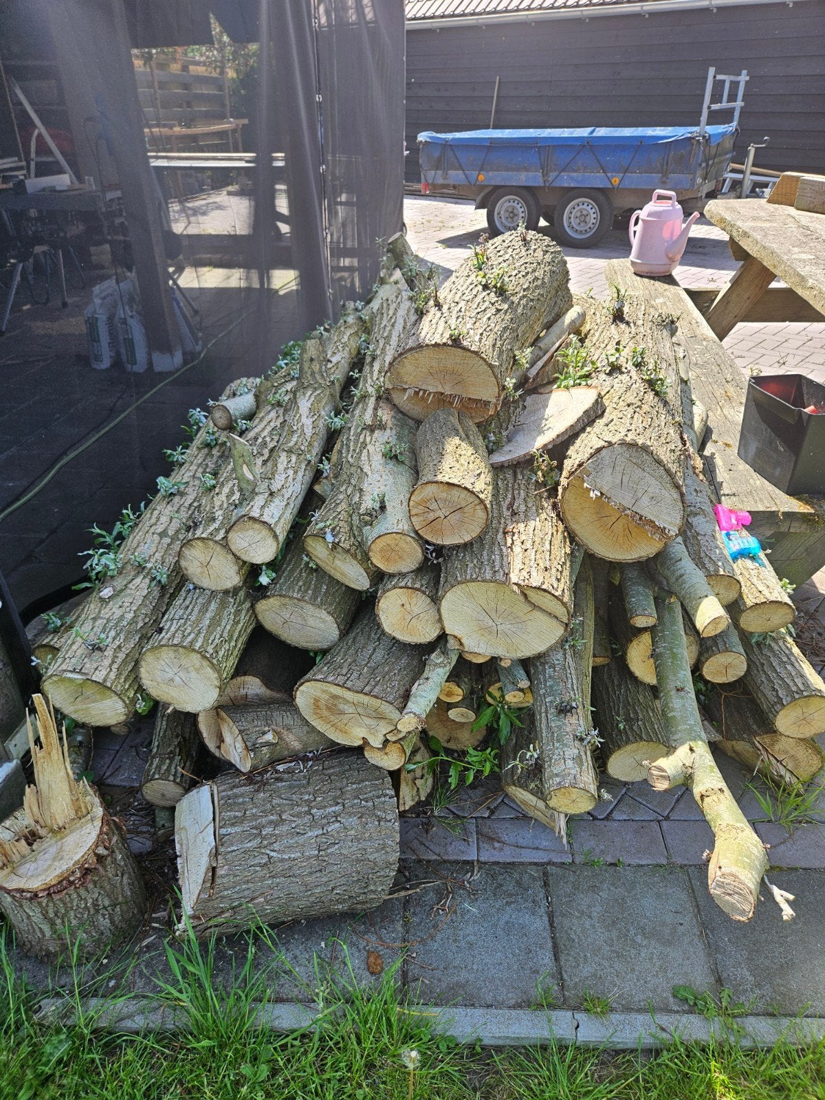 Vers gekapt hout: Stammen en takken, Tuin en Terras, Haardhout, 6 m³ of meer, Ophalen, Overige houtsoorten, Stammen