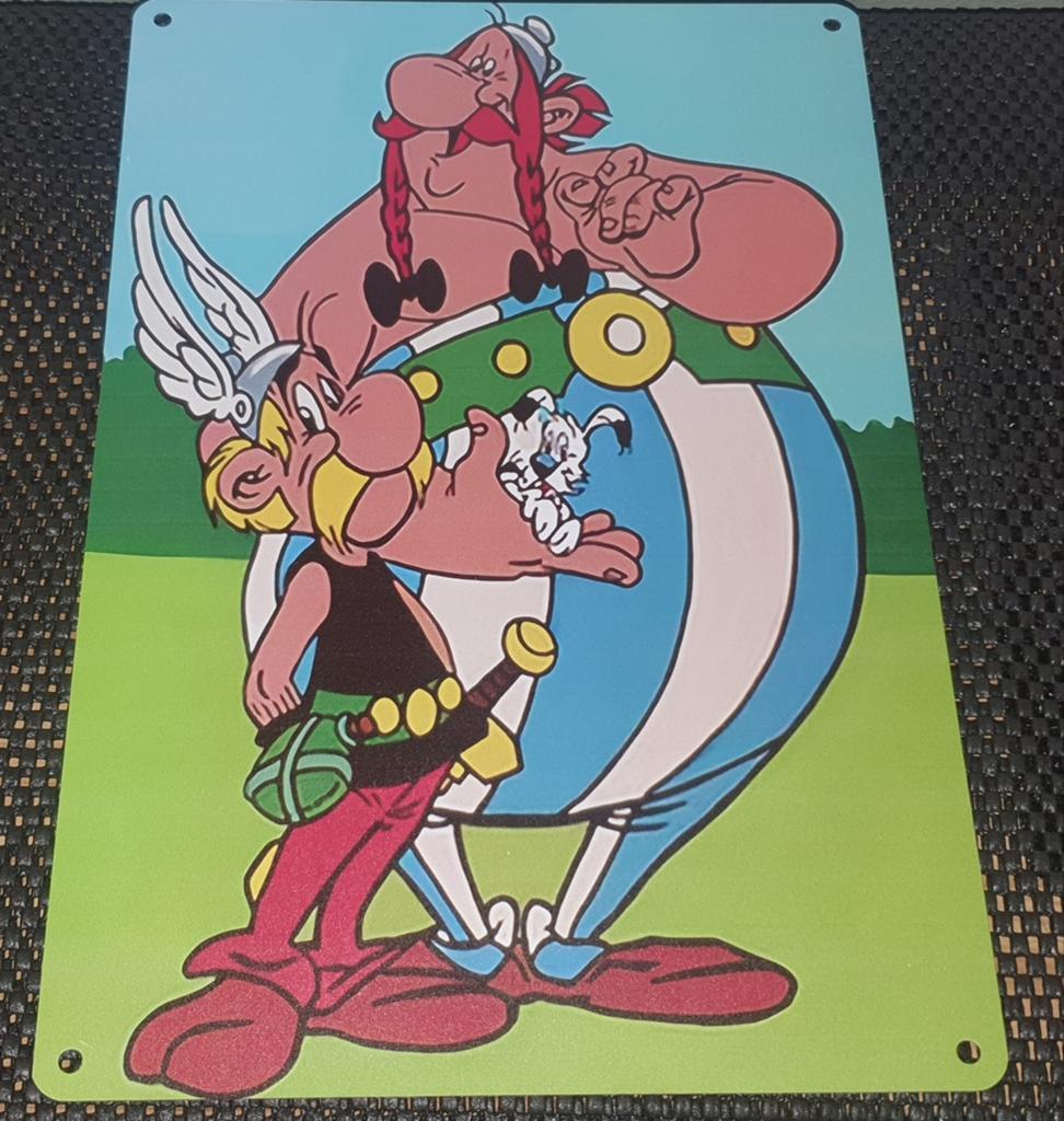 Wandbord asterix en obelix, Ophalen of Verzenden, Nieuw