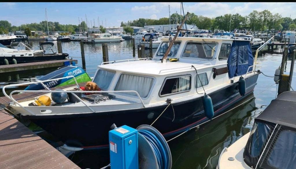 Gezellig ruime motorboot 9.80m.Met wat werk.Toplocatie haven, Watersport en Boten, Motorboten en Motorjachten, Gebruikt, Binnenboordmotor