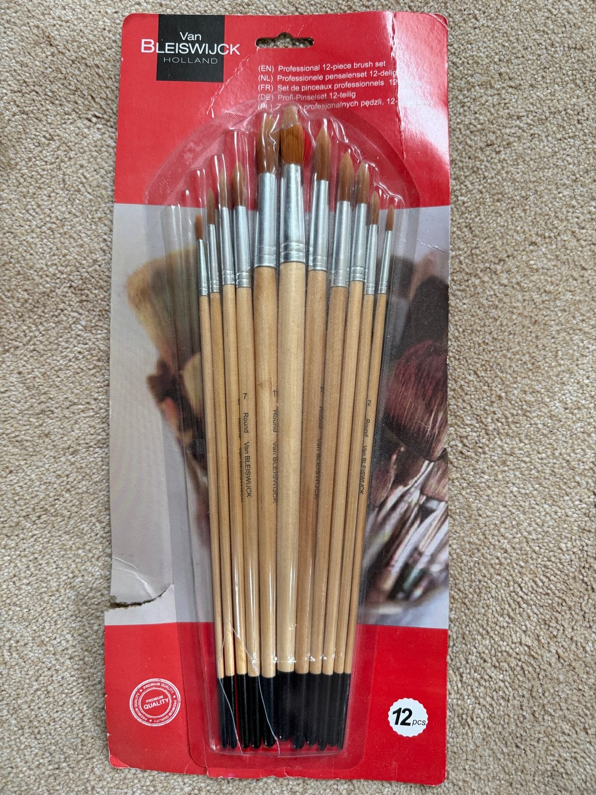 Nieuwe Van Bleiswijck Professionele Penselenset (12 stuks), Verzenden, Nieuw, Penseel of Kwast