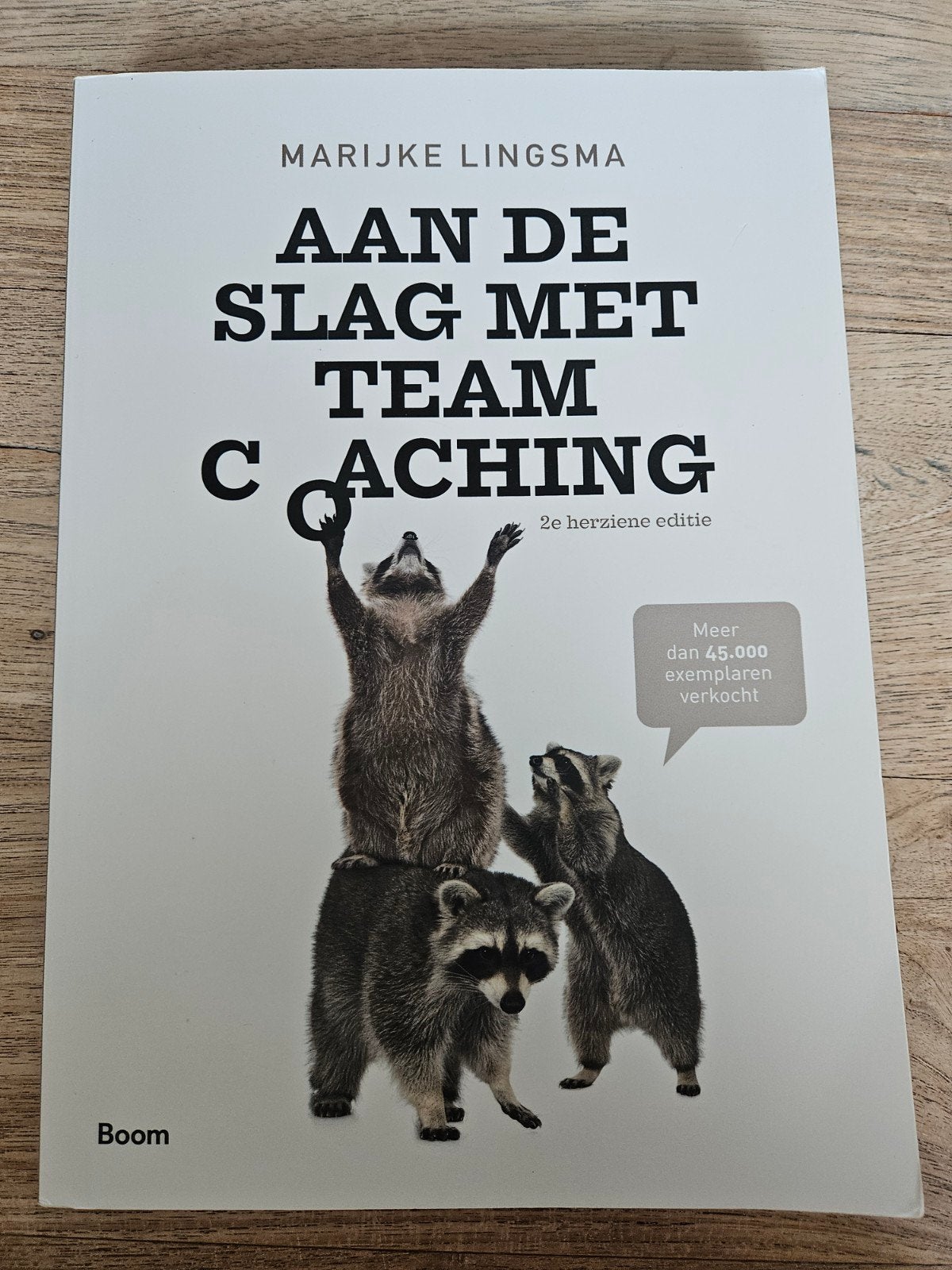 Marijke Lingsma - Aan de slag met teamcoaching, Boeken, Ophalen of Verzenden, Zo goed als nieuw, Marijke Lingsma