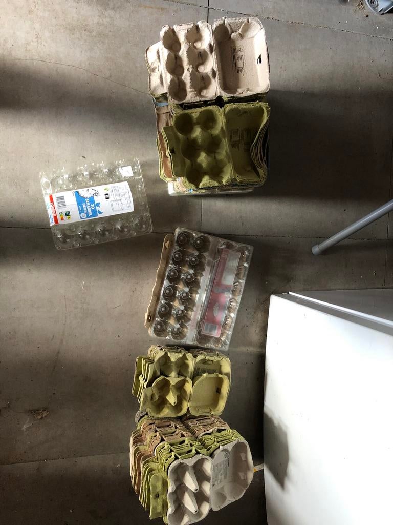 Eierdozen, Ophalen of Verzenden, Gebruikt, Overige typen