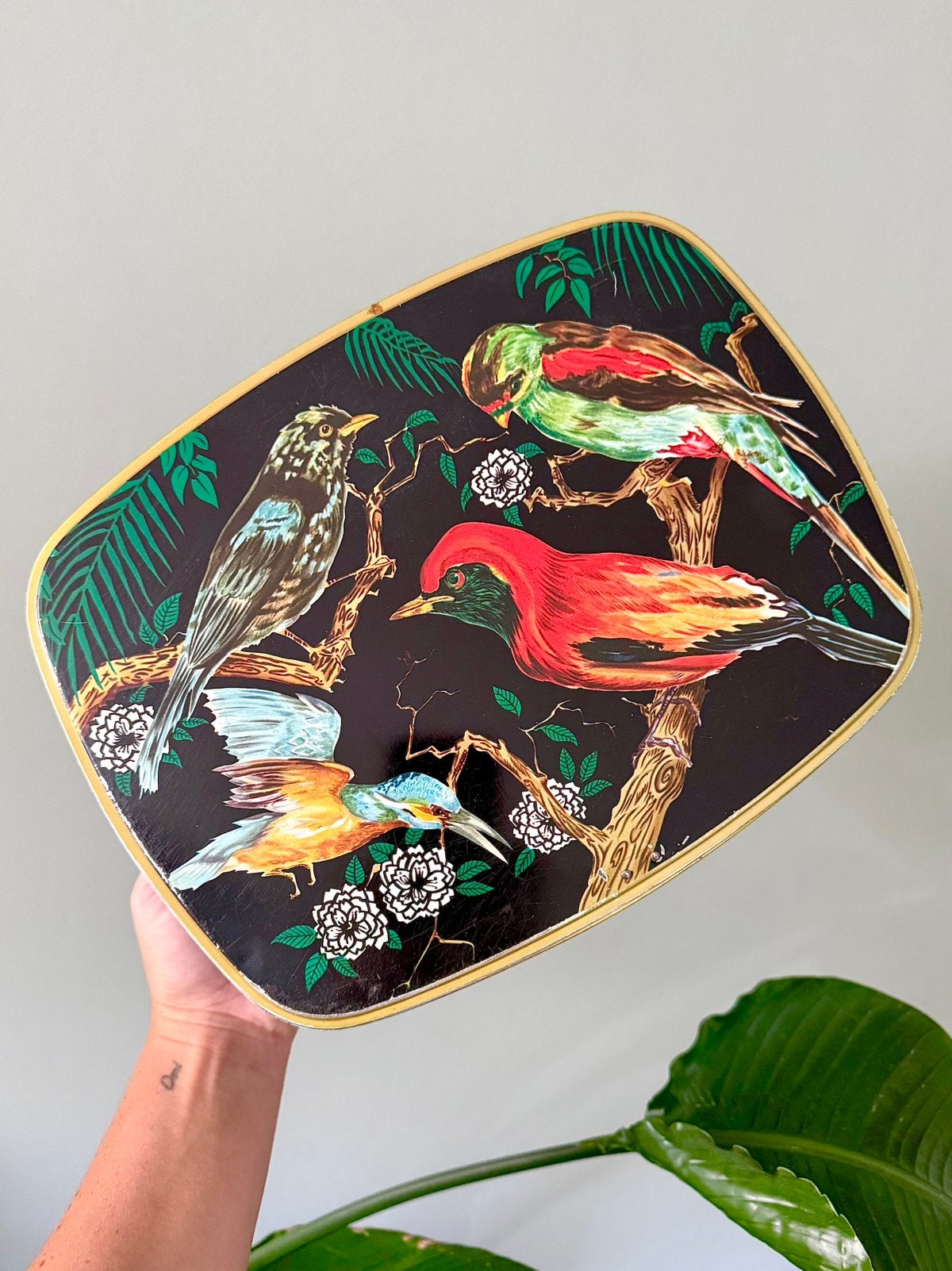 Groot vintage blik opbergdoos vogels ijsvogel, Verzamelen, Blikken, Ophalen of Verzenden, Gebruikt