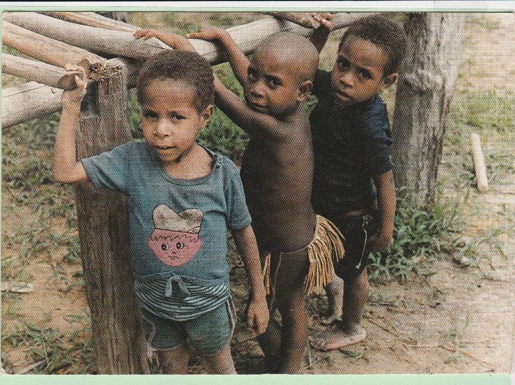 Irian Jaya (indonesia) voorm. nieuw Guinea kinderen van '99, Ophalen, 1980 tot heden, Gelopen, Buiten Europa