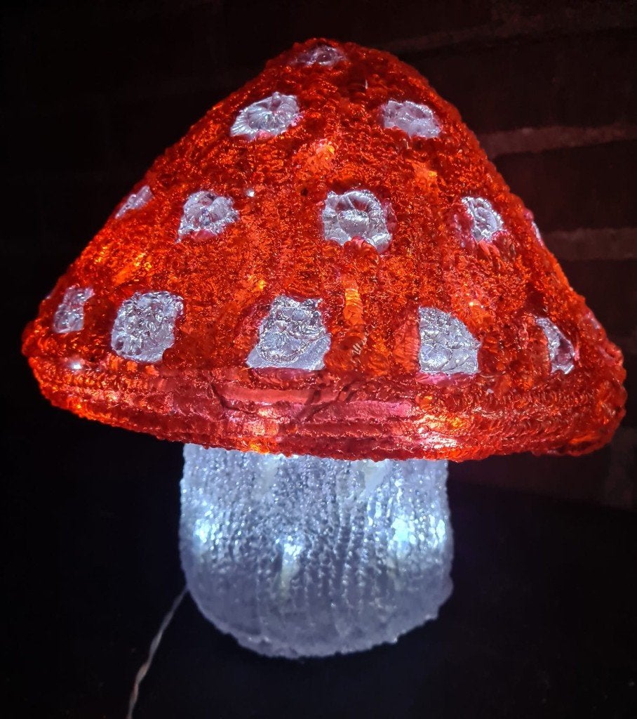led acryl paddenstoel incl adapter, Diversen, Ophalen of Verzenden, Gebruikt
