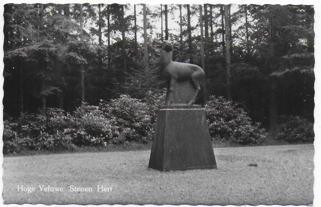 Hoge Veluwe Stenen hert Ongelopen Ansichtkaart (B6814 ), Verzamelen, Ophalen of Verzenden, 1940 tot 1960, Ongelopen, Gelderland