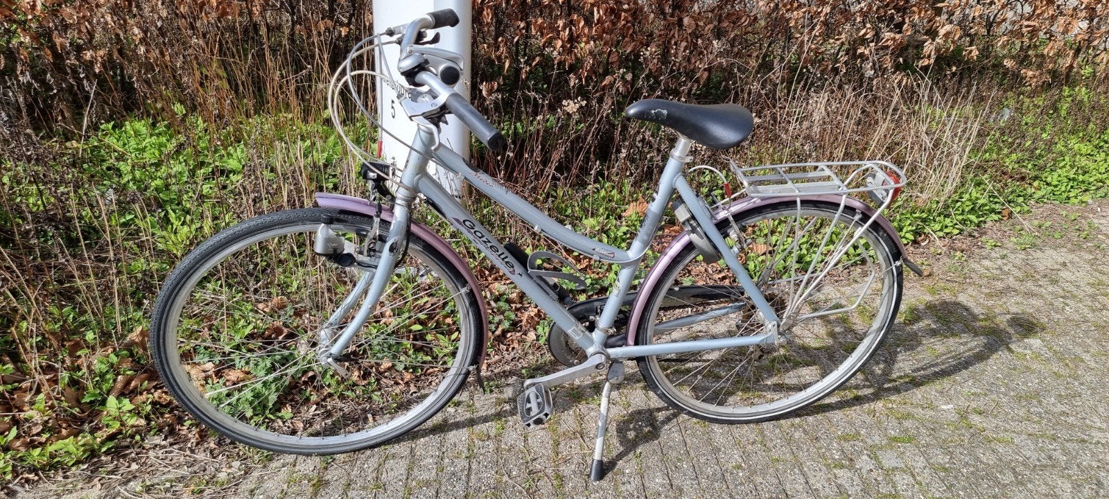 Gazelle dames sportfiets, Fietsen en Brommers, Fietsen | Dames | Damesfietsen, Ophalen, Gazelle, Versnellingen