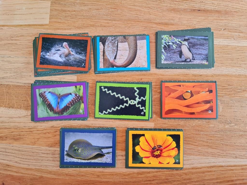 Dekamarkt dieren stickers Artis, Verzamelen, Supermarktacties, Dekamarkt, Ophalen of Verzenden