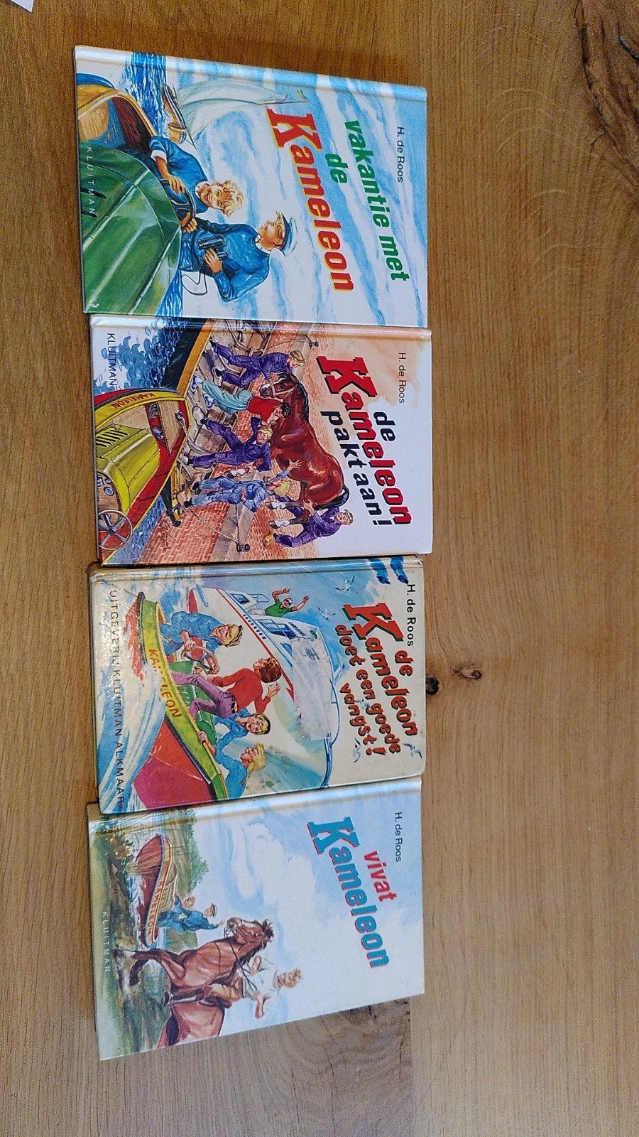 Kameleon boeken, Ophalen of Verzenden, Gelezen, H. de Roos, Fictie algemeen