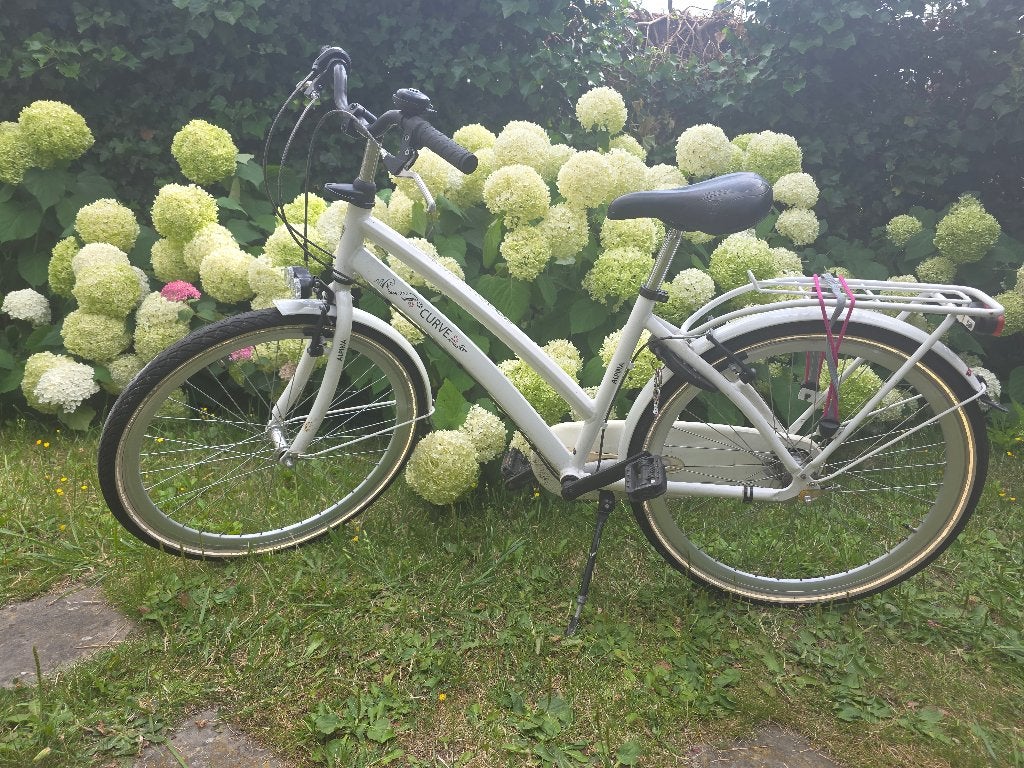 Alpina Curve meisjesfiets 26 inch – weinig gebruikt, Fietsen en Brommers, Fietsen | Meisjes, Alpina, Versnellingen, Zo goed als nieuw