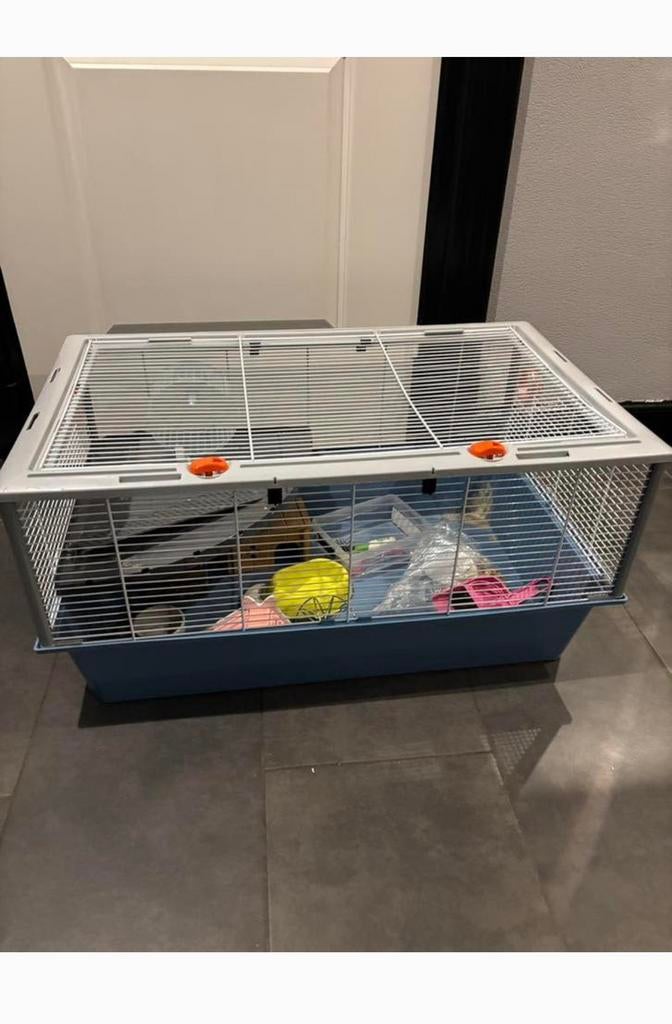 Hamsterkooi incl accessoires, Dieren en Toebehoren, Knaagdieren en Konijnen | Hokken en Kooien, Ophalen, Zo goed als nieuw, Kooi