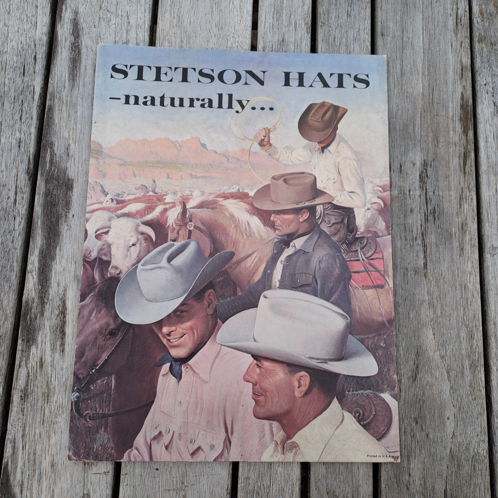 stetson hoeden reclamebord winkeldisplay, Ophalen of Verzenden, Gebruikt, Reclamebord