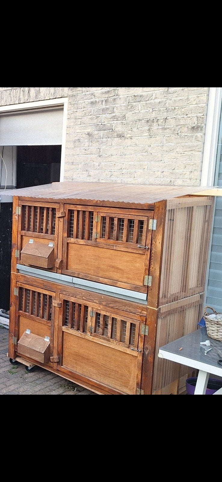 Kitbox duivenhok, Dieren en Toebehoren