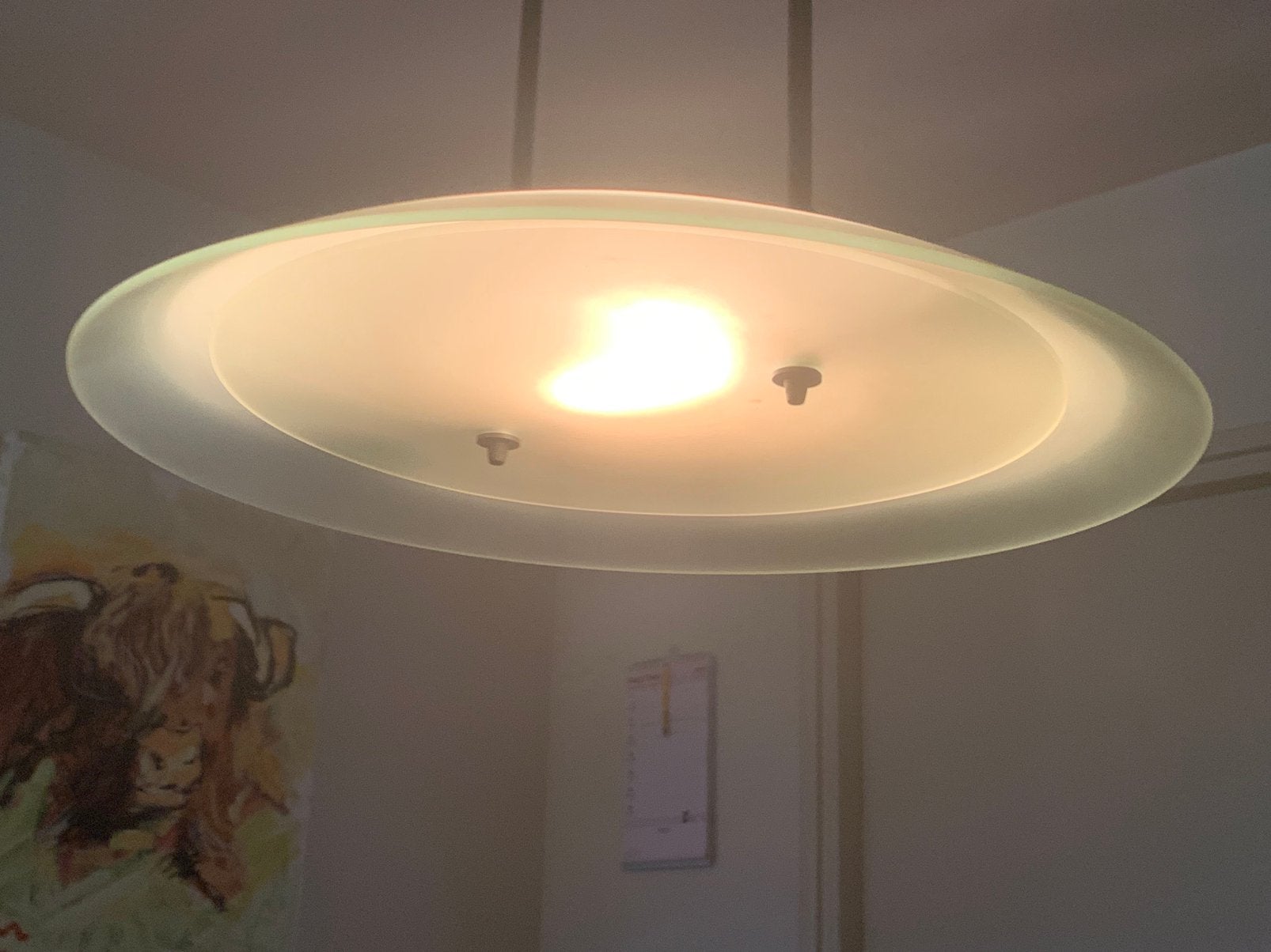 Halogeen hanglamp, Ophalen, Inclusief lichtbron, Modern, Overige fittingen