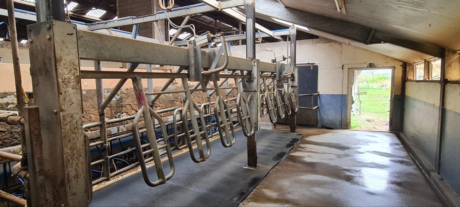 Delaval melkstal 2x10