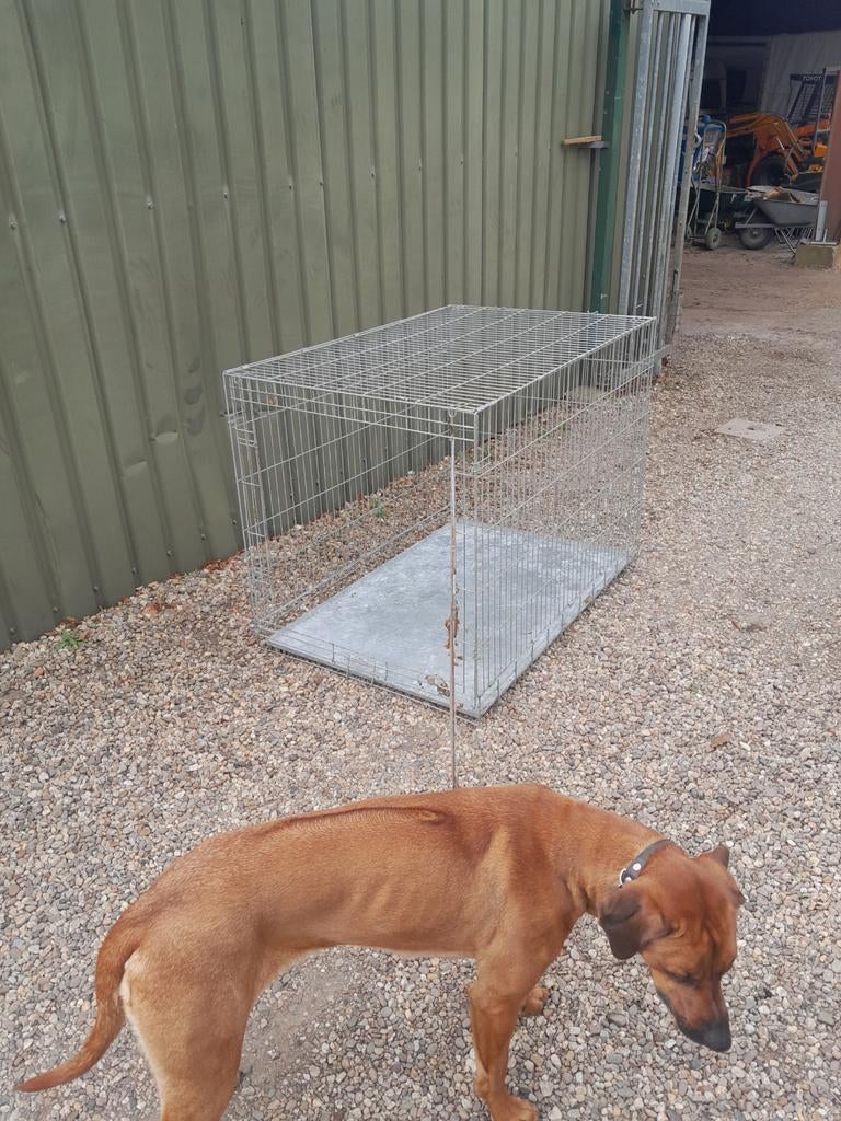 Honden bench, Dieren en Toebehoren, Ophalen, Zo goed als nieuw