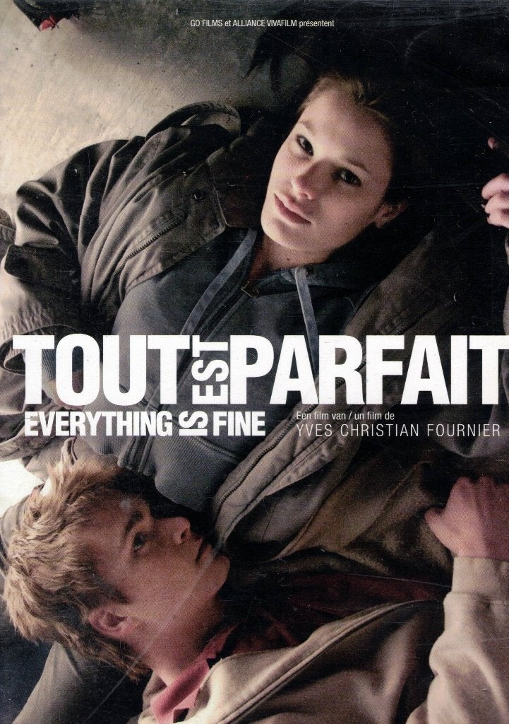 Tout Est Parfait - Yves Christian Fournier, Drama, Nederlands, Frankrijk, Ophalen of Verzenden