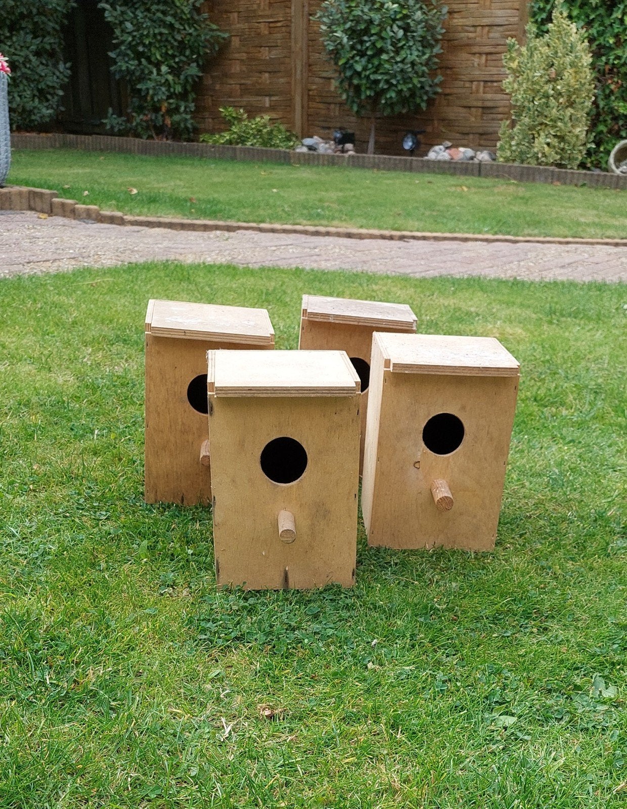 4 nestkasten voor parkieten,  bourkes, partkietachtigen, Ophalen, Hout, Vogelkooi