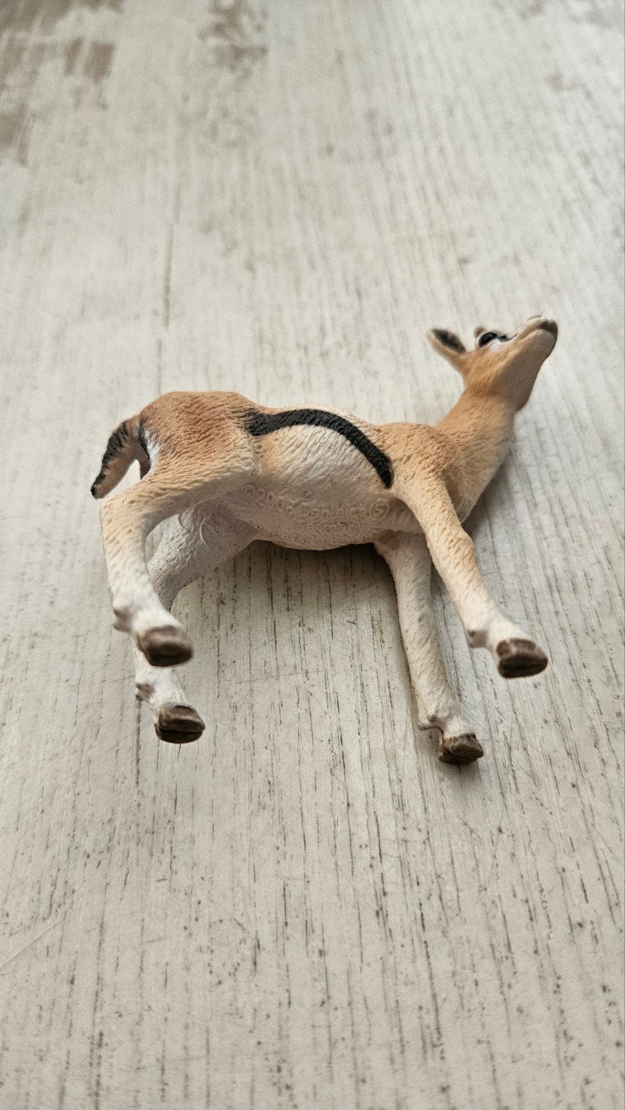 Schleich Gazelle Figuur - Realistisch Speelgoed, Ophalen of Verzenden, Zo goed als nieuw, Jongen of Meisje