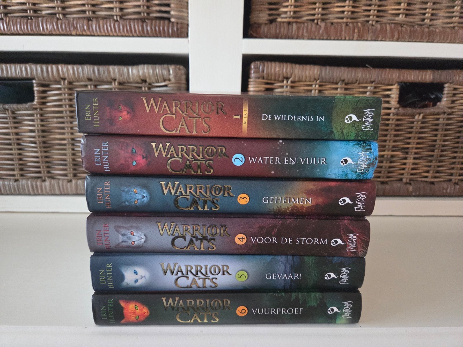 Erin Hunter - Het begin, Boeken, Ophalen of Verzenden, Gelezen