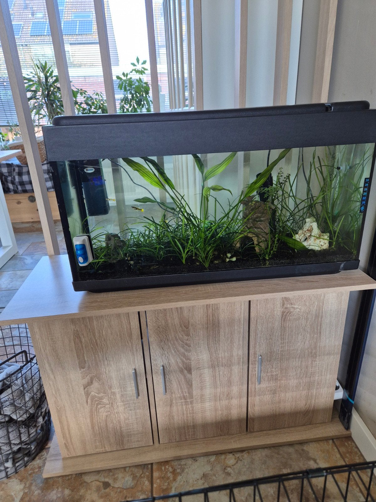 Aquarium en aquariumkast, Dieren en Toebehoren, Vissen | Aquaria en Toebehoren, Ophalen, Gebruikt, Aquariummeubel, Overige merken