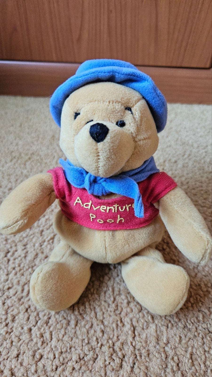 Disney Winnie the Pooh knuffel, Ophalen of Verzenden, Zo goed als nieuw, Overige typen