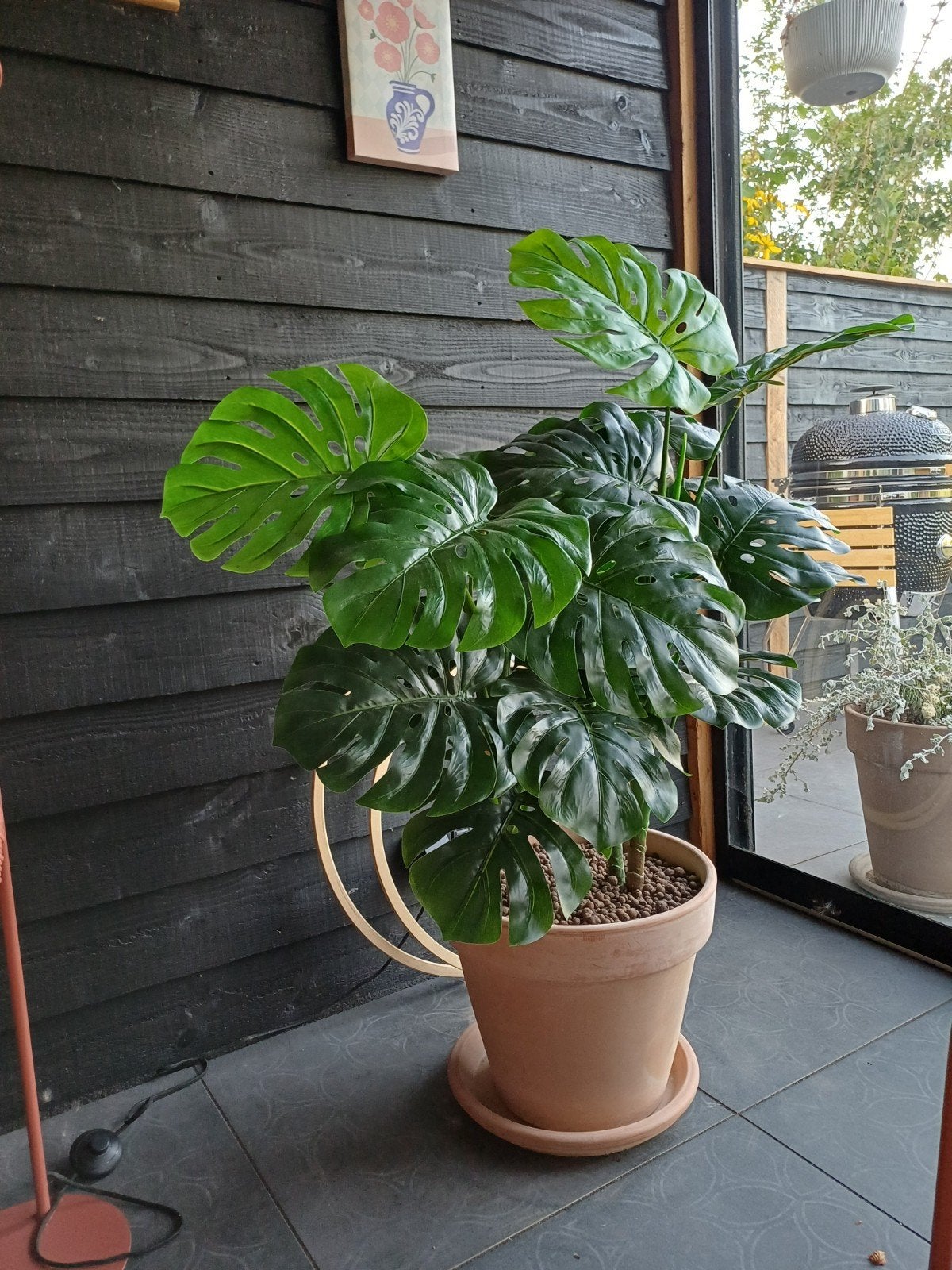 kunst plant, Ophalen