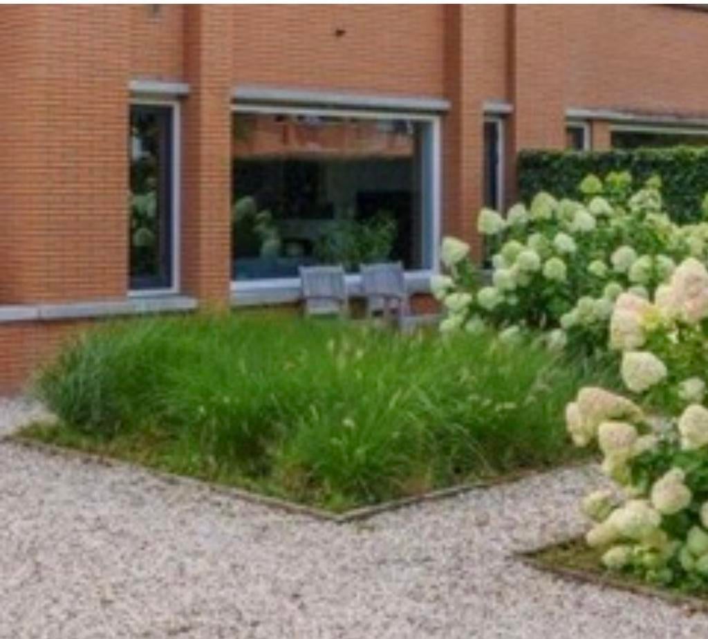 Lampenpoetsersgras - Pennisetum alopecuroides, Tuin en Terras, Volle zon, Vaste plant, Siergrassen, Ophalen of Verzenden